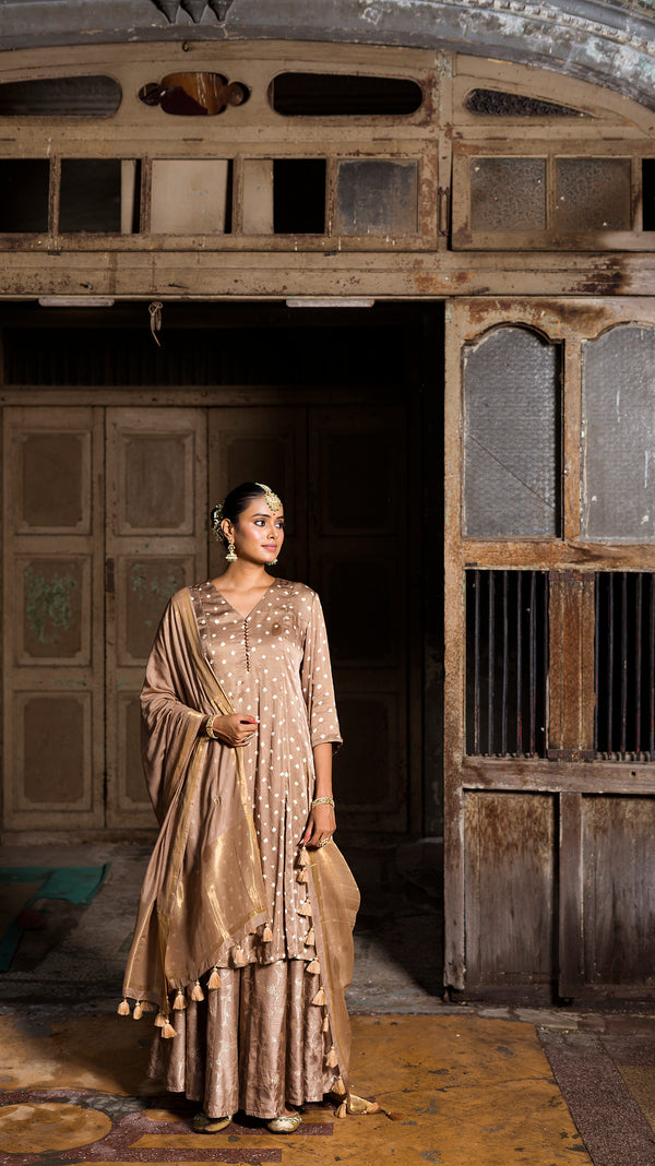 Light Brown kurta and palazzo set